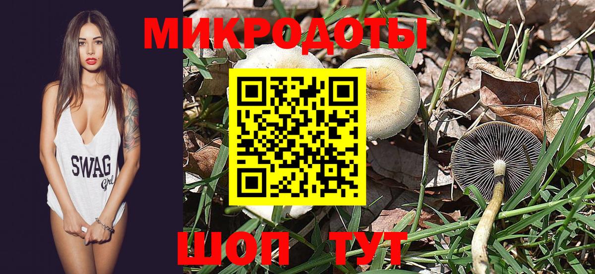 Галлюциногенные грибы Cubensis  Вход с VPN  Кимры 